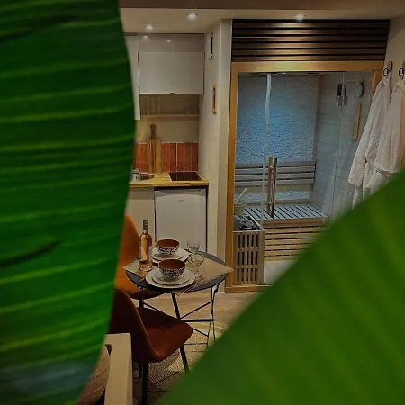 Apartment Le Jacaranda - Africaine - Sauna & Netflix