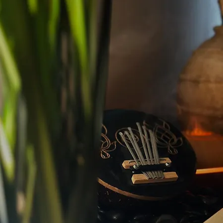Le Jacaranda - Africaine - Sauna & Netflix