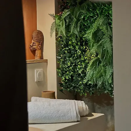 Le Jacaranda - Africaine - Sauna & Netflix Apartment *