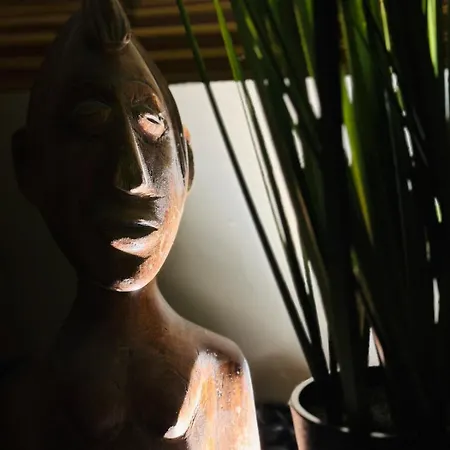 Le Jacaranda - Africaine - Sauna & Netflix Serignan