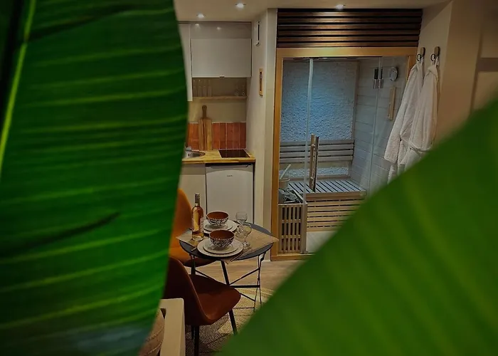Daire Le Jacaranda - Africaine - Sauna & Netflix