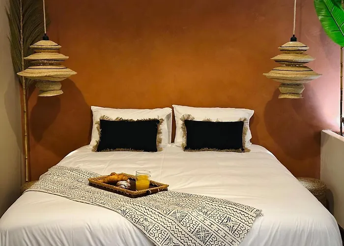 Le Jacaranda - Africaine - Sauna & Netflix Daire Sérignan