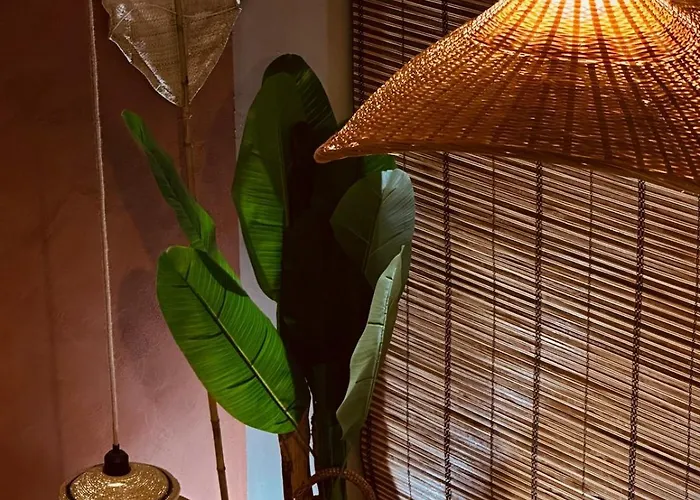 Le Jacaranda - Africaine - Sauna & Netflix Daire *