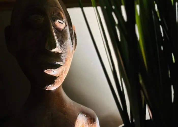 Le Jacaranda - Africaine - Sauna & Netflix Sérignan